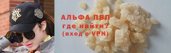 прущие грибы Михайловка