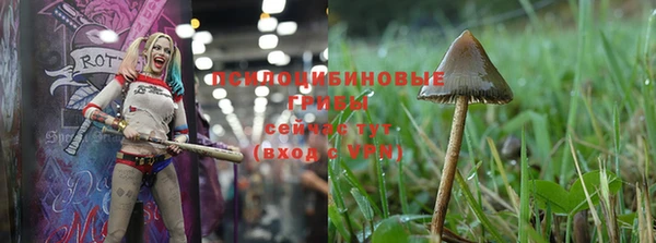 стафф Балахна