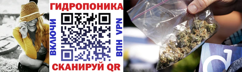 Шишки марихуана семена  что такое наркотик  Михайлов 